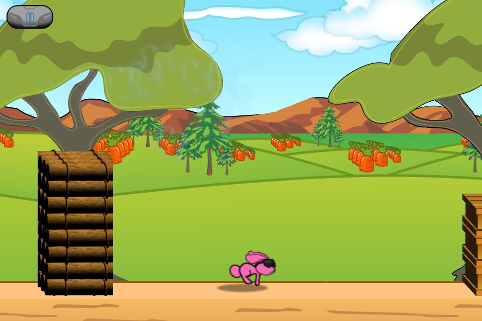 bunny ninja puzzle game